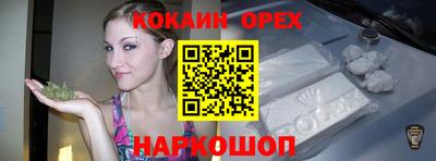 индика Можга