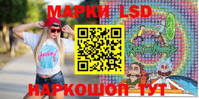 индика Можга