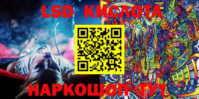 индика Можга