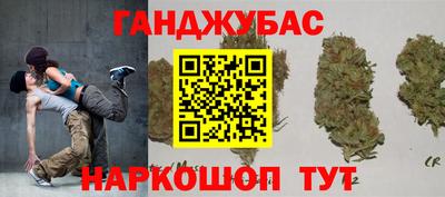 индика Можга