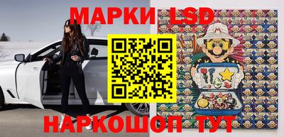 индика Можга