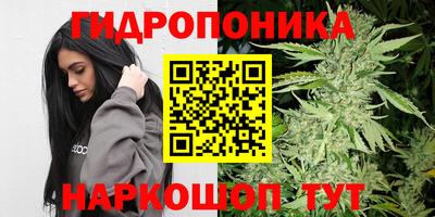 индика Можга