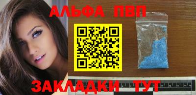 индика Можга