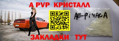 индика Можга