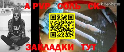индика Можга