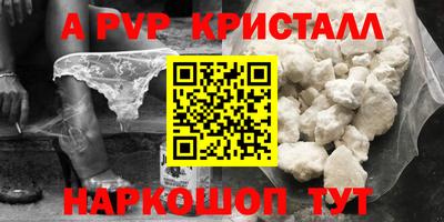 индика Можга