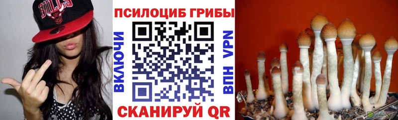 Галлюциногенные грибы мицелий кракен Стерлитамак