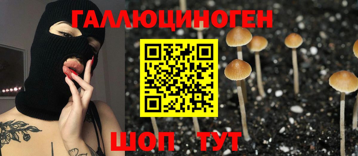 Псилоцибиновые грибы Magic Shrooms  Псилоцибиновые грибы Psilocybe  где можно купить наркотик  Стерлитамак  Вход с VPN 